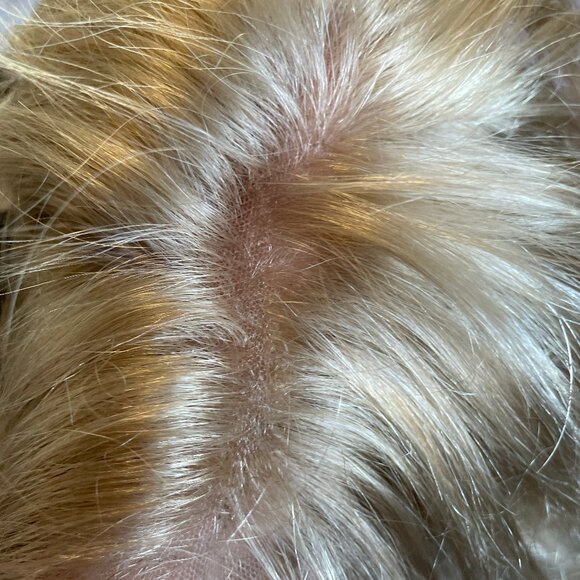 Golden Blonde Human Hair Wig - Picture 9 of 10